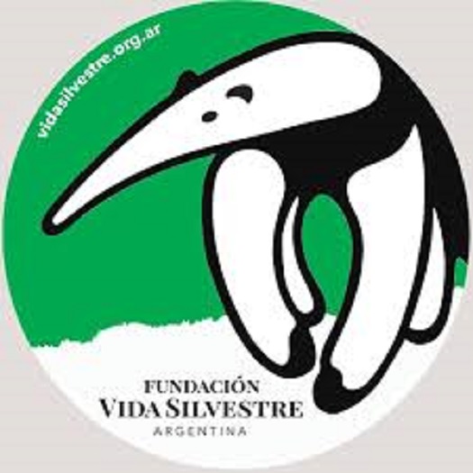 Logo- Fundación Vida Silvestre