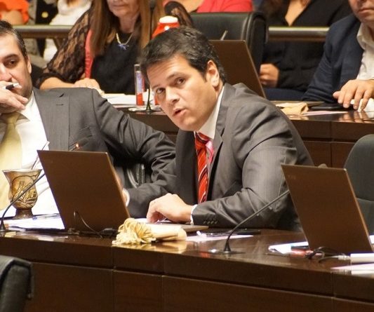 Diputado Gustavo González (UCR)
