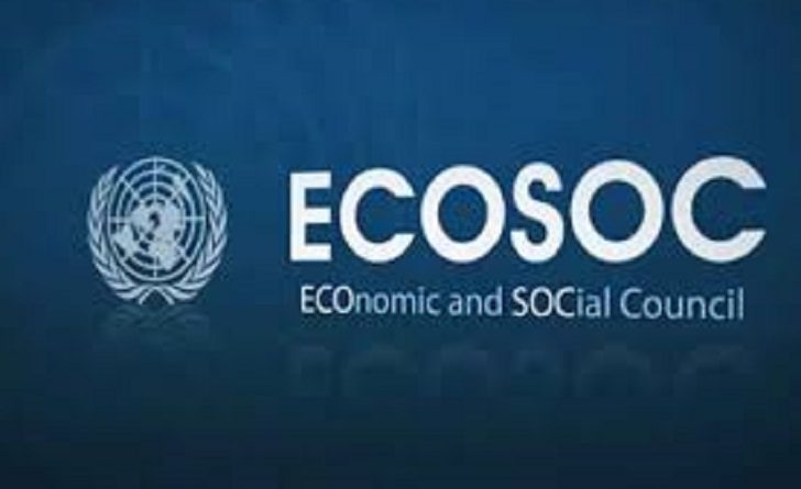 Consejo Económico y Social (ECOSOC)