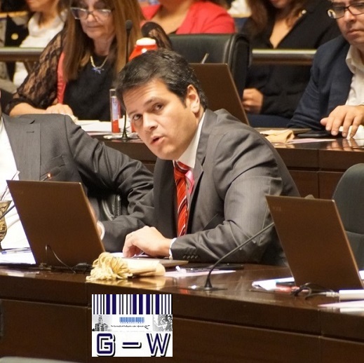 Diputado Provincial Gustavo González (UCR)
