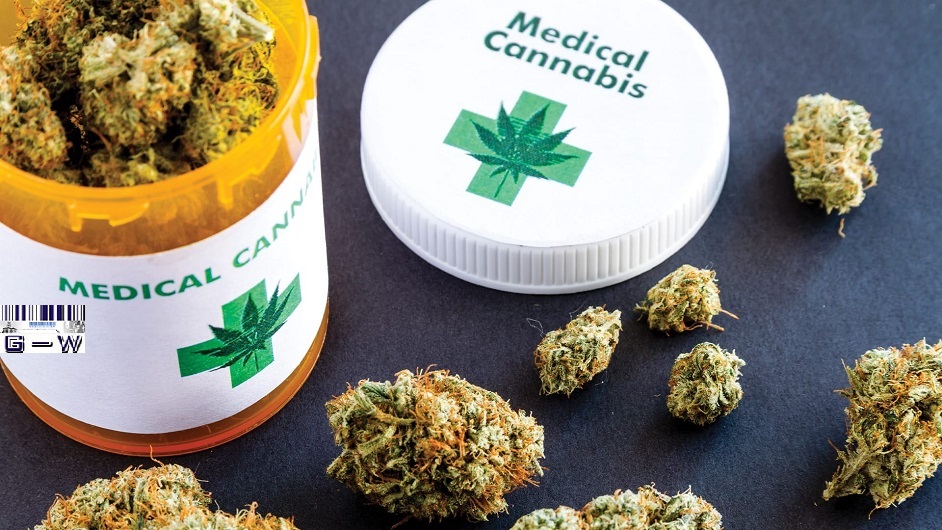  Cannabis Medicinal Sociedad Estatal “Misio-Pharma”