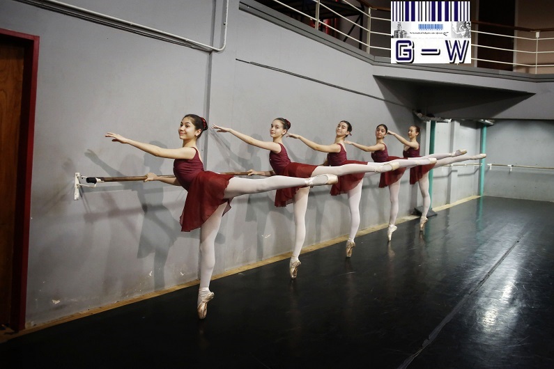  Clases virtuales - Academia de Ballet de Moscú