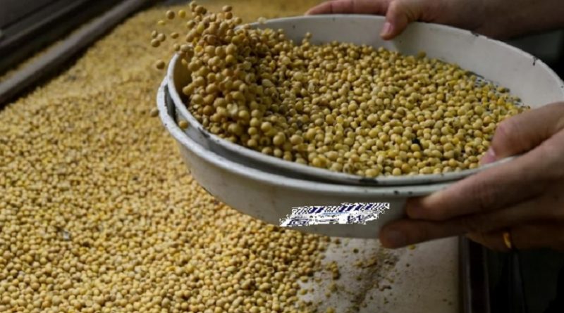 Argentina aumento del cupo para harina de soja a la India
